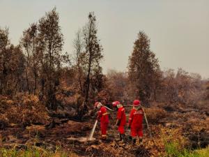 Pemerintah Perkuat Operasi Terpadu Karhutla, Tambah Dukungan Udara dan Pemadaman Darat